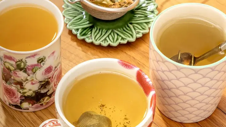 Tailerra: Sendabelar baratzea