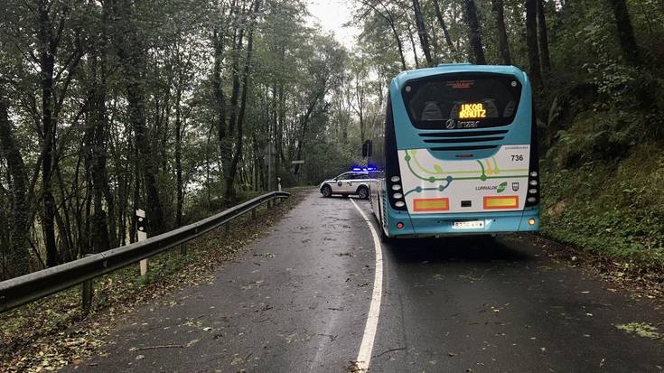 Laurgaingo errepidea itxita dago elektrizitate hodi baten ondorioz