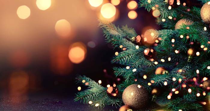 Gabonetako neurrien inguruko zalantzak argitzeko, galdera-erantzunak