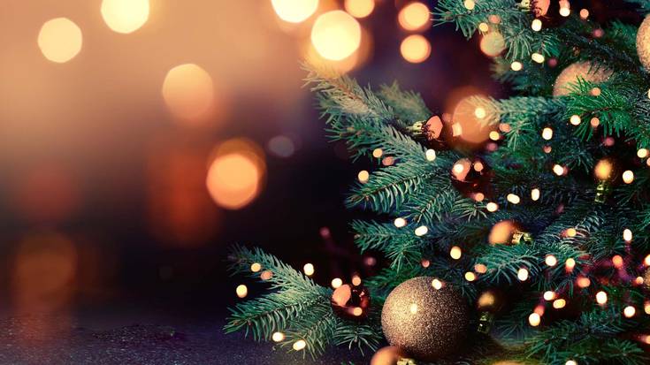 Gabonetako neurrien inguruko zalantzak argitzeko, galdera-erantzunak