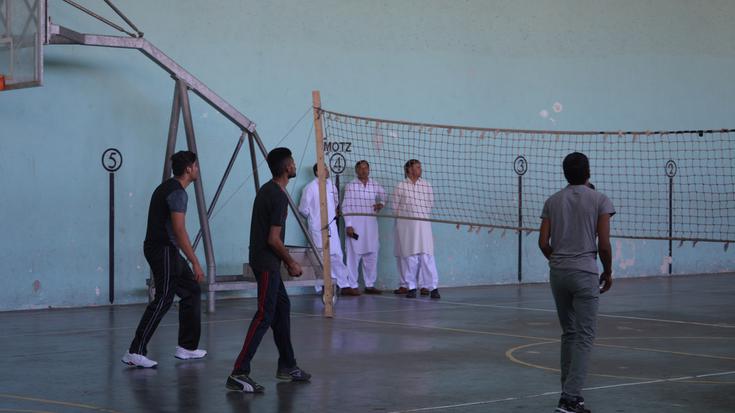 Boleibola, pakistandarren ikur