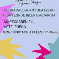Euskaraldiko batzordearen bilera