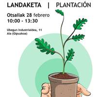 Ekintza: zuhaitz landaketa Aian