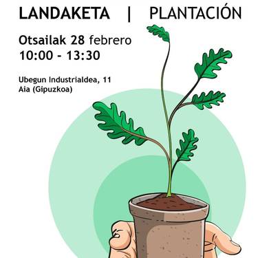 Ekintza: zuhaitz landaketa Aian