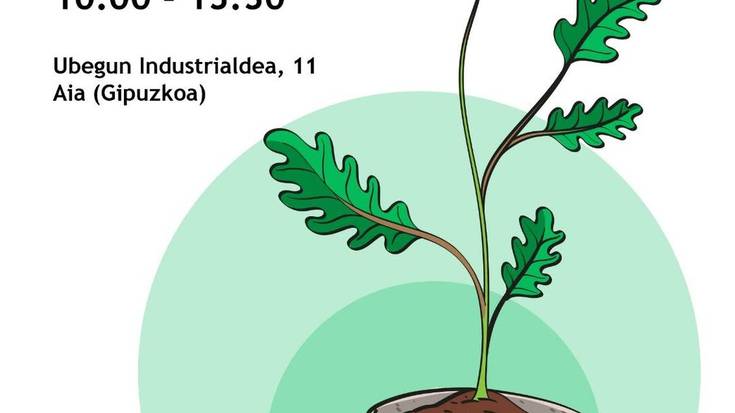 Ekintza: zuhaitz landaketa Aian