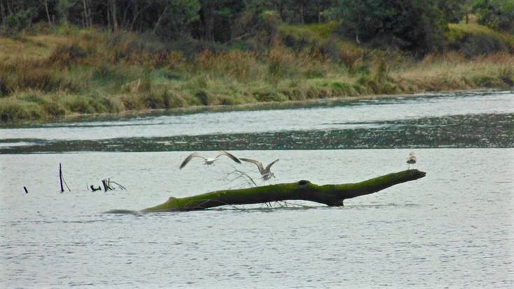 Aitor Leiza: "Ehizaren kontu horretan legea betetzea besterik ez dugu eskatzen"