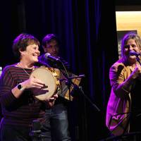 Erromeria: trikitilariak