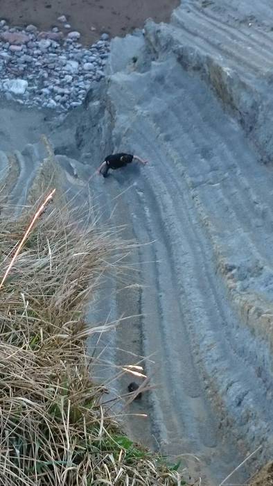 Gizon bat eta bere txakurra erreskatatu dituzte San Telmo pareko labarrean