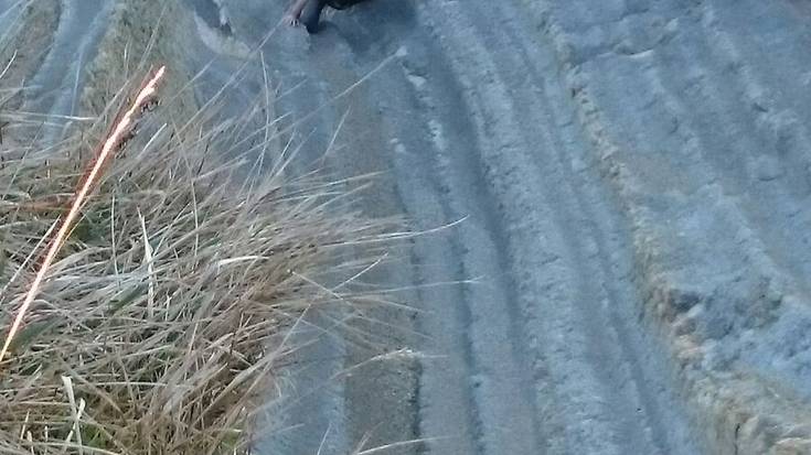 Gizon bat eta bere txakurra erreskatatu dituzte San Telmo pareko labarrean