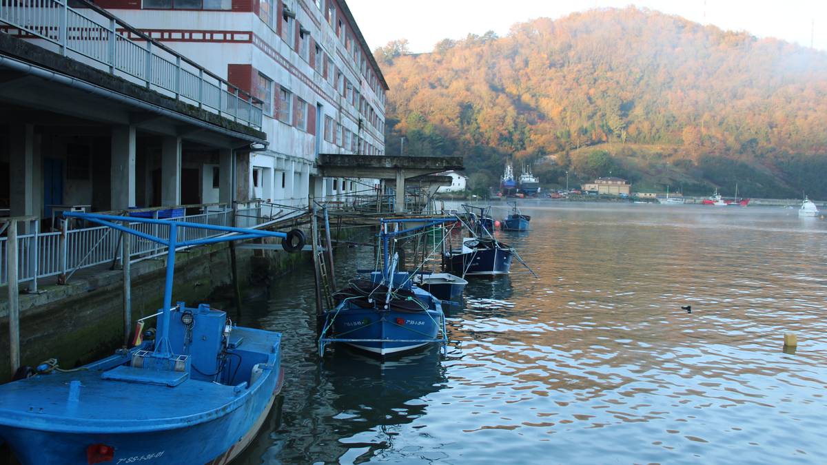 Euskadiko Anguleroen Elkarteak epaitegietara jotzea erabaki du angularen arrantzaren debekuaren aurrean