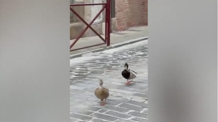 Ahateak, kalean gora kalean behera