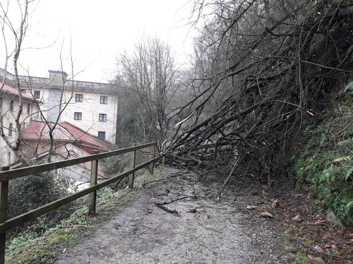 Konpontzen ari dira euriteek Zestoa eta Lasao arteko bidegorrian eragindako kalteak
