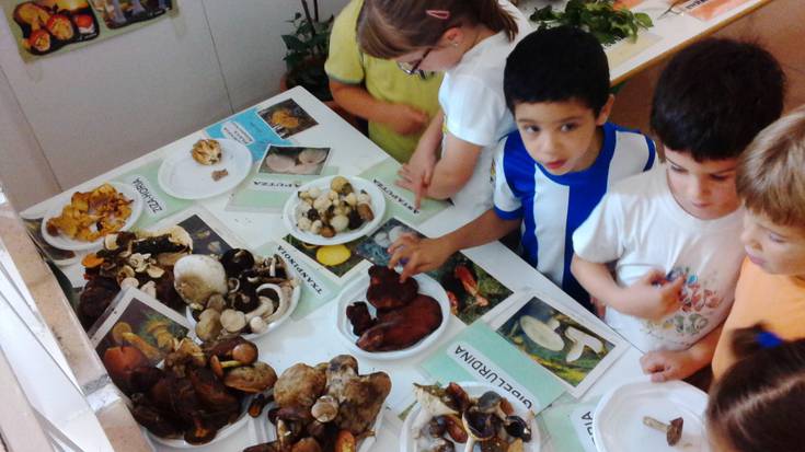 Perretxiko erakusketa Herri Eskolan