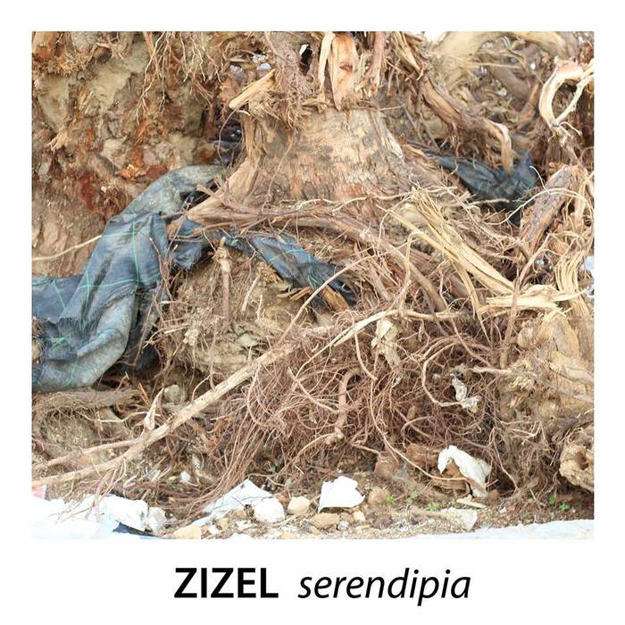 'Serendipia' diskoa kaleratu du Zizel taldeak