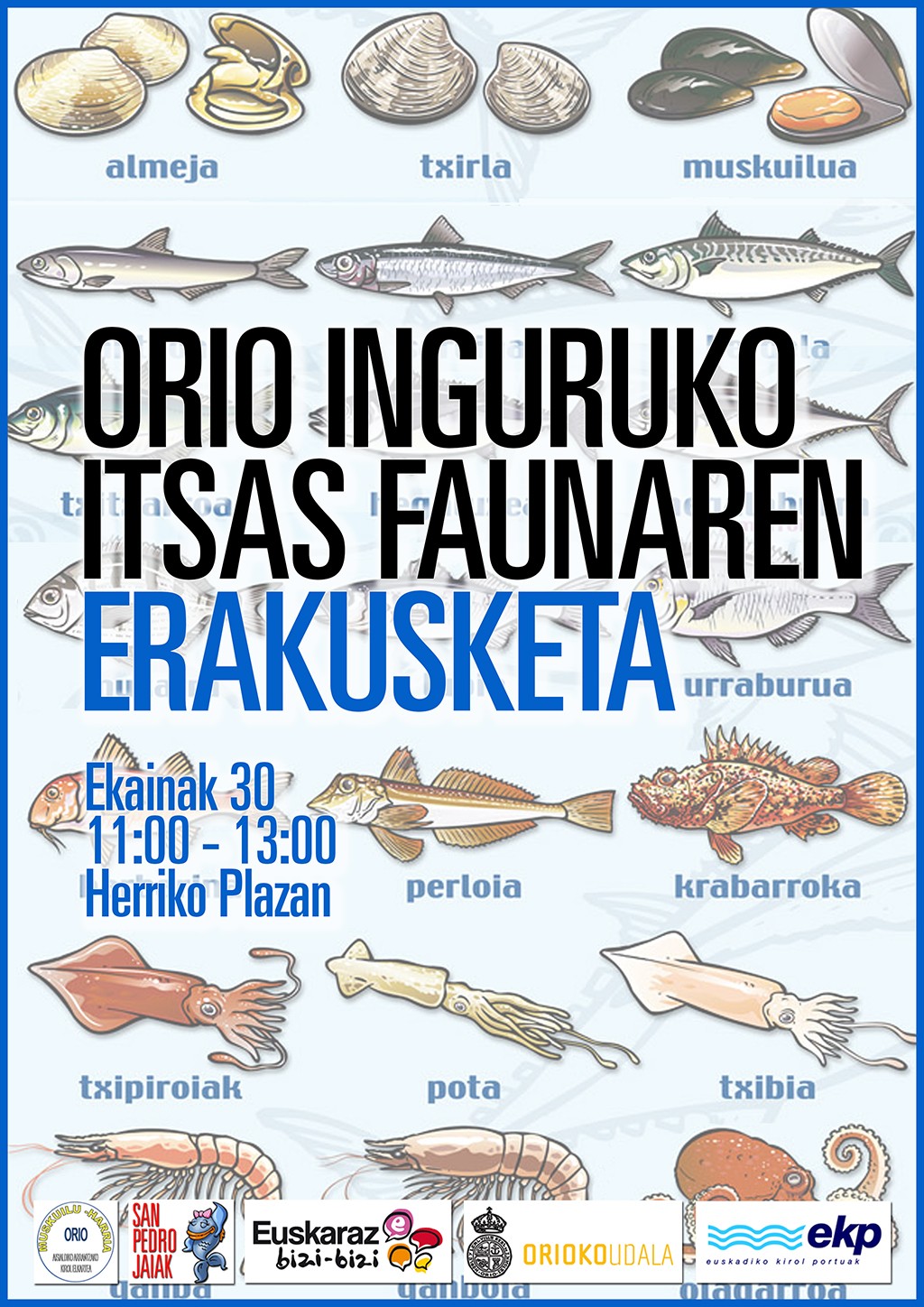 Orioko itsas faunaren erakusketa