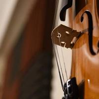 Emanaldia: Bizkargi eskolako biolin jotzaileen entzunaldia