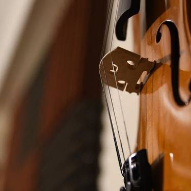 Emanaldia: Bizkargi eskolako biolin jotzaileen entzunaldia