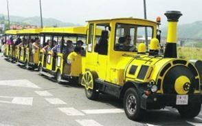 Txu-Txu trenaren etorkizuna