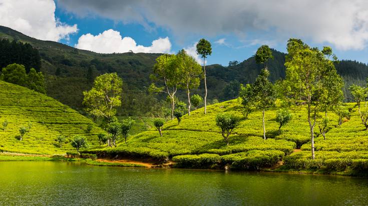 Sri Lanka izango dute hizpide Bidaia Tertulien bigarren solasaldian