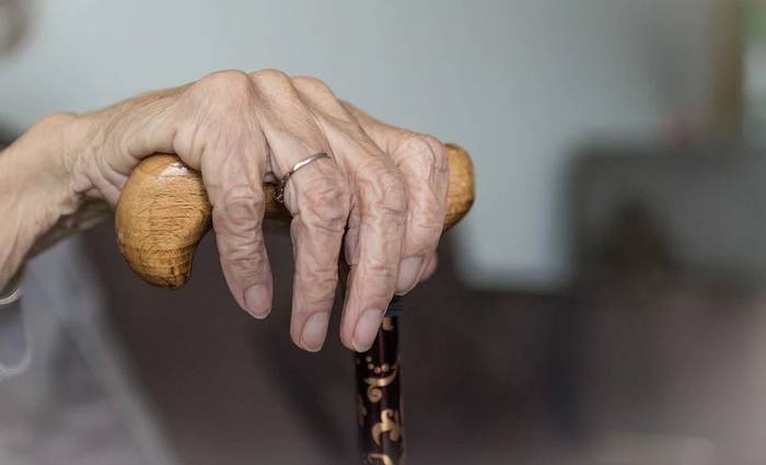 113 boluntario ari dira parte hartzen Zarauzko zaintza sarean