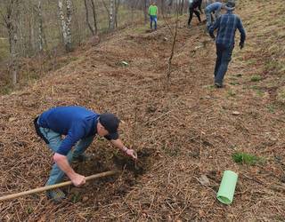 Ehun zuhaitz landare berri Munoaundiko lurrentzat