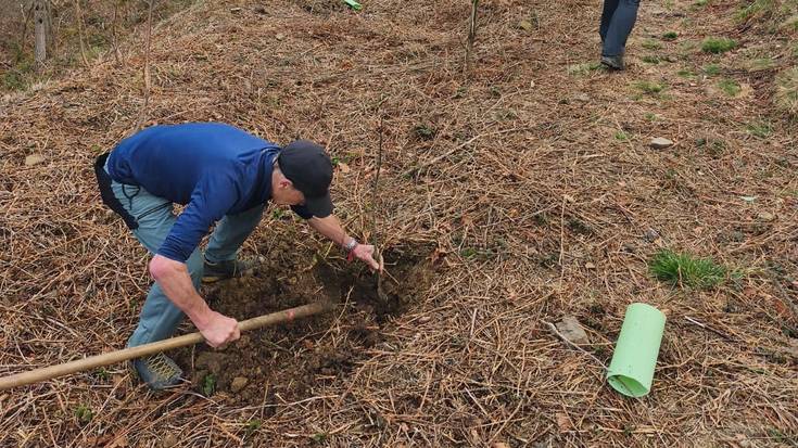 Ehun zuhaitz landare berri Munoaundiko lurrentzat