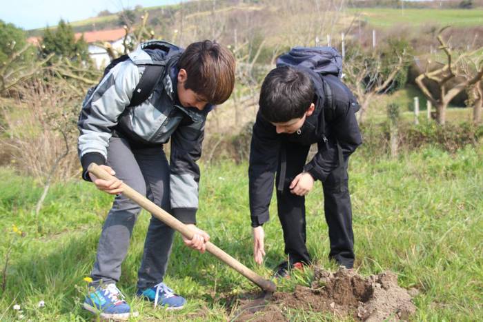 Irudietan: Zuhaitz Eguna Zarautzen
