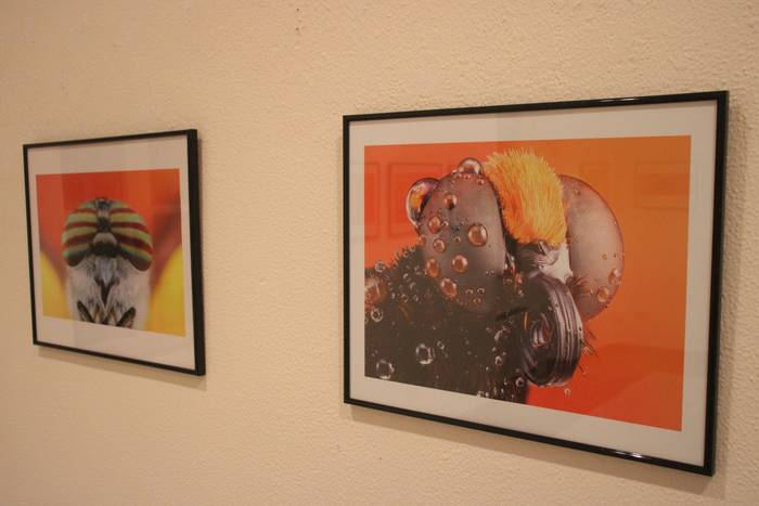 Argazki Mostra ikusteko azken astea