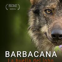 Dokumentala: 'Barbacana, la huella del lobo'