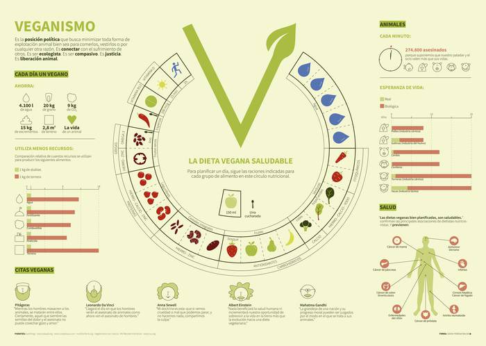 Saioa Perona oriotarraren infografia, onenetarikoen artean