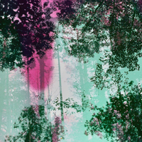 Esateko Idatzi tailerra: poesia eta irudia