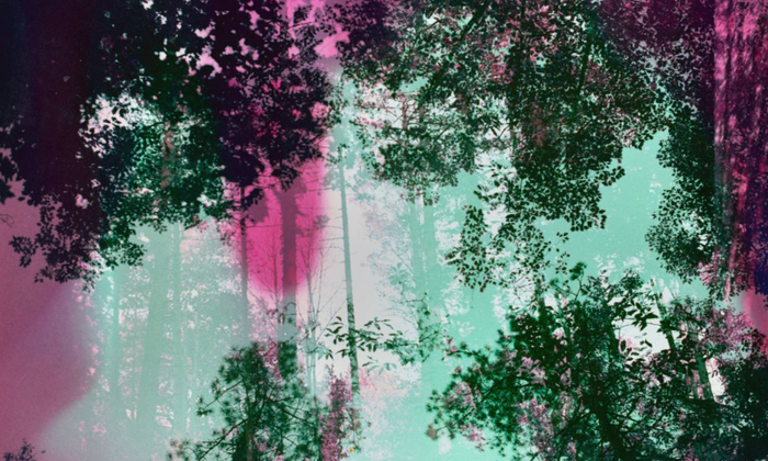 Esateko Idatzi tailerra: poesia eta irudia