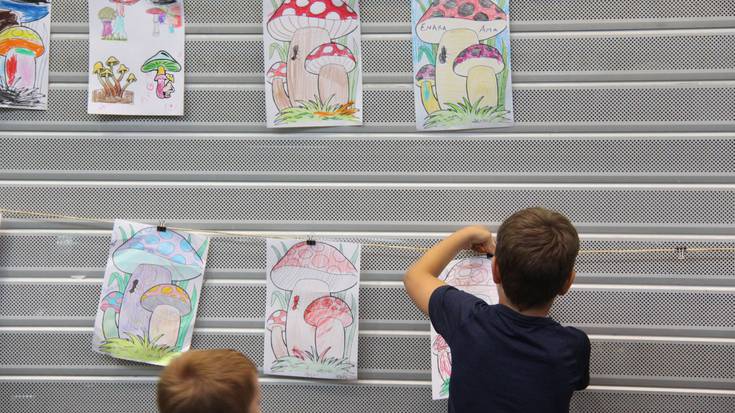 Birusa, ingurumena nahiz bioaniztasuna izango dituzte hizpide 41. Natura Astean