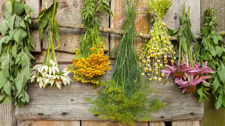 Sendabelarrekin ukenduak egiteko ikastaroa emango dute etzi