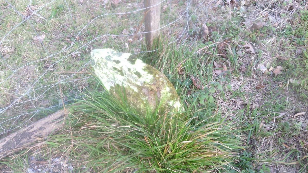 Landa eremuko lur sailak mugatzen eta digitalizatzen segituko du udalak