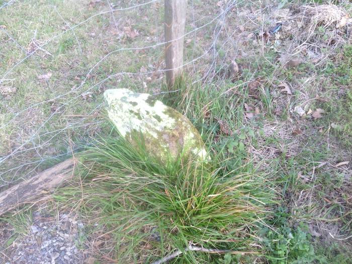 Landa eremuko lur sailak mugatzen eta digitalizatzen segituko du udalak