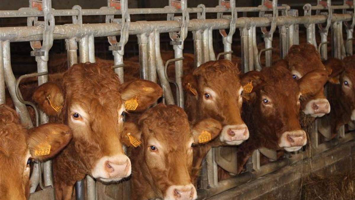 Gaitzekin bizitzeko erronka