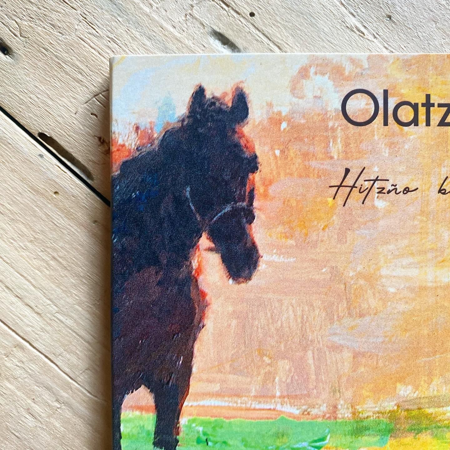 Olatz Zugastiren diskoaren azala egin du Udane Juaristik