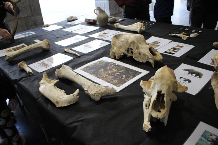 2025eko Zestoako Arkeologia Astea