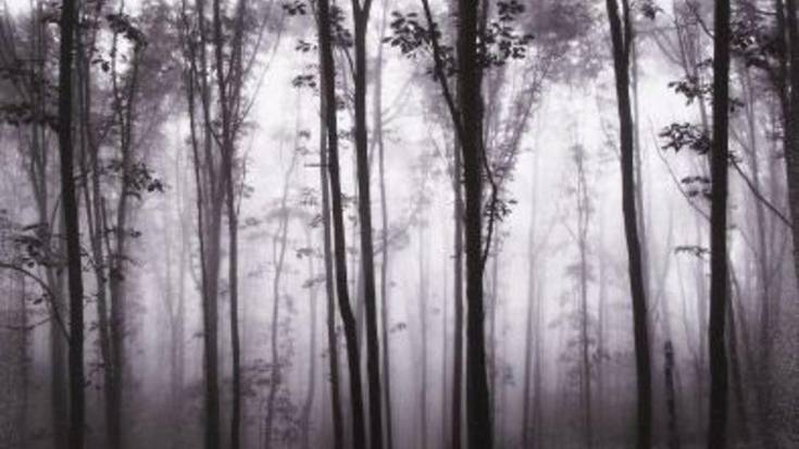 Irudietan: II. Ramon Serras Argazki Lehiaketako argazki sarituak