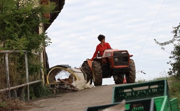 Baserritar Bilgunea nekazal sindikatua aurkeztuko dute Azpeitian bihar