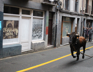 Errebaleko festetan ez da sokamuturrik izango, dermatosi nodular kutsakorra prebenitzeko hartutako neurriak tarteko