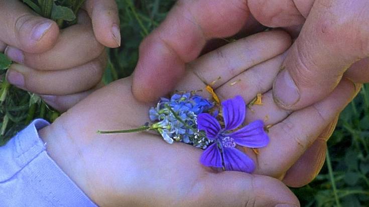 Zineforuma: 'Historias del buen valle' filma