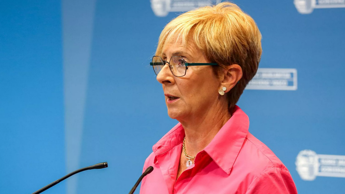 Arantxa Tapia, Sabino Arana fundazioko presidente