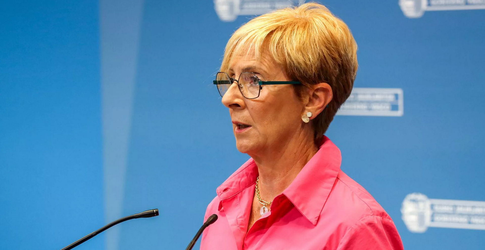 Arantxa Tapia, Sabino Arana fundazioko presidente