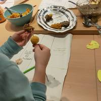 Tailerra: Koxinatu: Udaberriko zaporeak familian