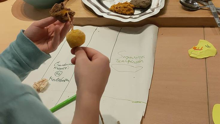 Tailerra: Koxinatu: Udaberriko zaporeak familian