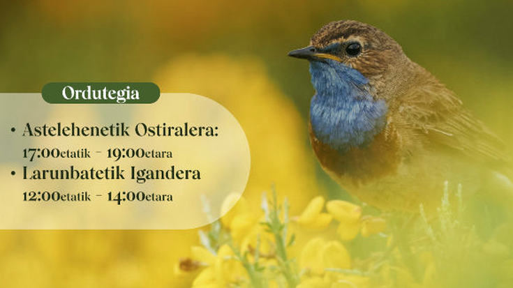 Oliver Perez eta Imanol Manterola argazkilarien lanekin osatutako erakusketa zabalduko dute Mutrikun