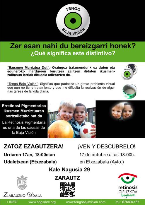 Ikusmen urritasunaren inguruko hitzaldia izango da asteartean