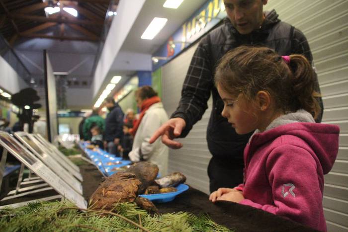 Perretxiko erakusketa, Zarauzko Natur Asteari amaiera emateko